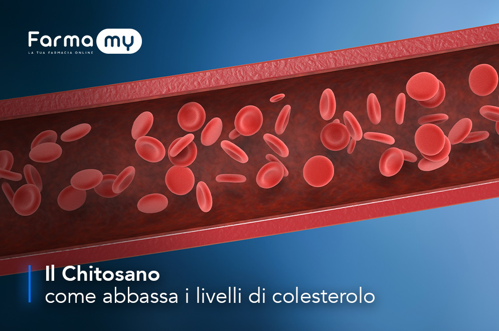 Come il Chitosano può essere utile ad abbassare i livelli di colesterolo