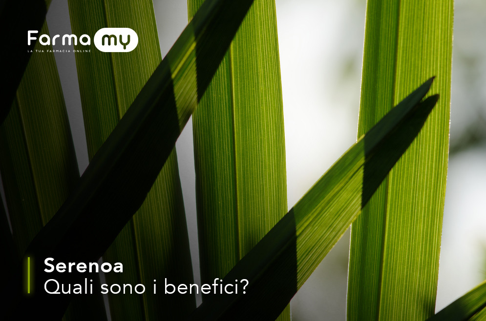 Quali sono i benefici della serenoa