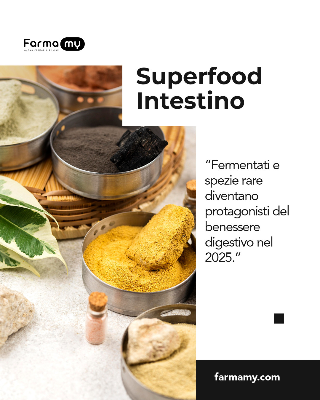 Fermentati e Spezie Esotiche: I Nuovi Superfood per la Salute Intestinale