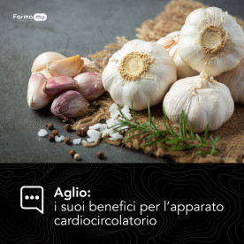  I benefici dell'aglio sull'apparato cardiocircolatorio