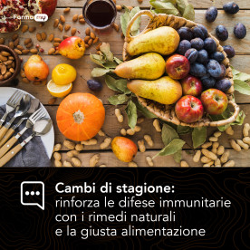 Alimentazione e Rimedi Naturali: come Affrontare i Cambi di Stagione Rinforzando le Difese Immunitarie