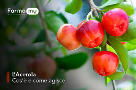 Cos'è e come agisce l'acerola