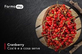 Cranberry. Cos'è e a cosa serve