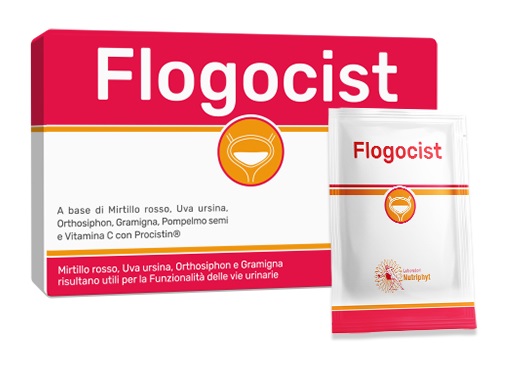 Flogocist 10bust-image
