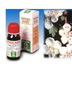 BIANCOSPINO *T.M. 50ML (10)SPE 