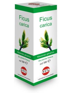 Ficus Carica Macerato Glicerico Gocce 100 ml 