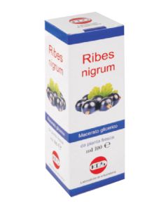 RIBES NIGRUM MG 100ML GTT 