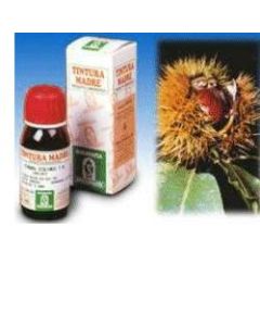 AGNOCASTO 50ML TM SPECCHIASOL 