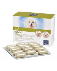 Camon Hybrid Mangime Complementare Cane/Gatto 60 Compresse 