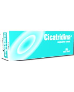 CICATRIDINA UNGUENTO NAS 15G 