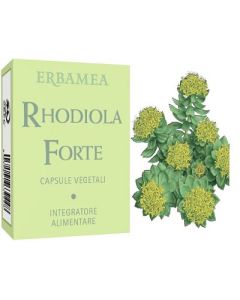 RHODIOLA FORTE 24CPS 