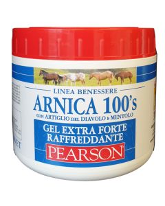 ARNICA 100'S GEL EX FT RAFF500