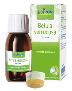 Boiron Betula Verrucosa Macerato Glicerinato 60 ml 