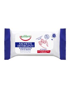 SALVIETTE DETERGENTI IGIEN12PZ