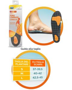SCHOLL PLANTARE LOMBARE M 2PZ 