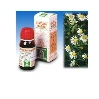 Specchiasol Camomilla 7 Tintura Madre 50 ml