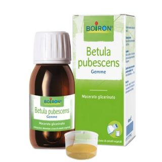 BOIRON BETULA PUBESCENS MACERATO GLICERICO OMEOAPATICO 60 ML
