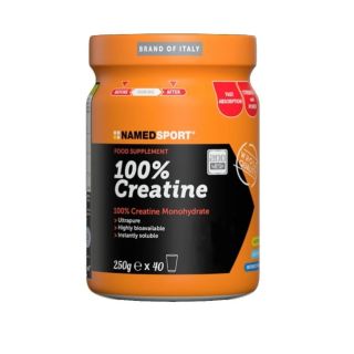 Named Sport 100% Creatine Integratore di Creatina Purissima 250 gr